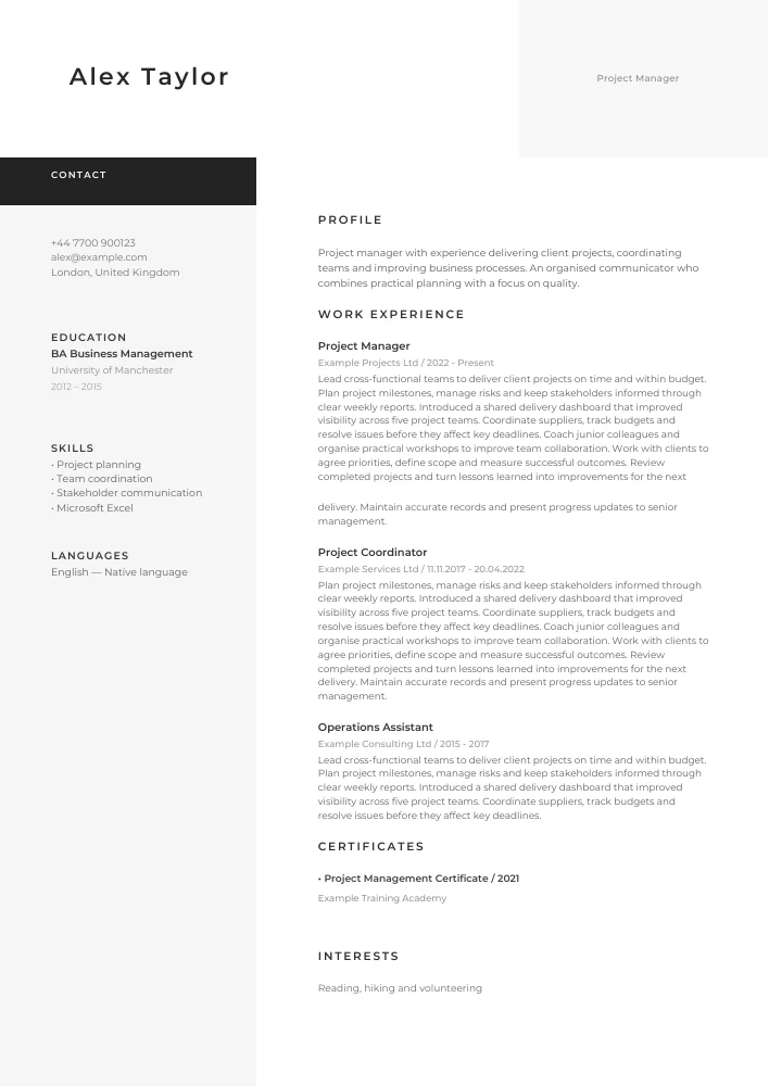 Elegant CV şablonu